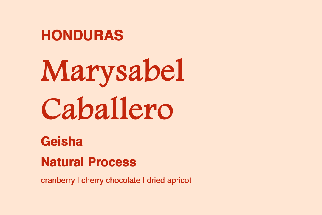 Photo of Honduras Caballero Marysabel Geisha (N) | The Hub Coffee Roaster