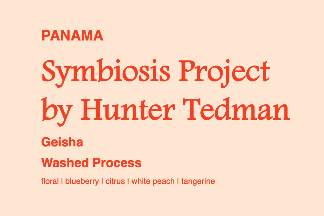Photo of Panama Symbiosis Project by Hunter Tedman Geisha (W)