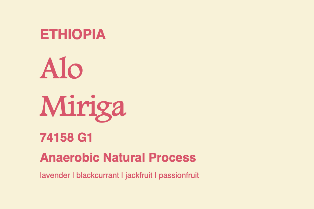 Photo of Ethiopia Alo Miriga 74158 G1 (A.N.) | The Hub Coffee Roaster
