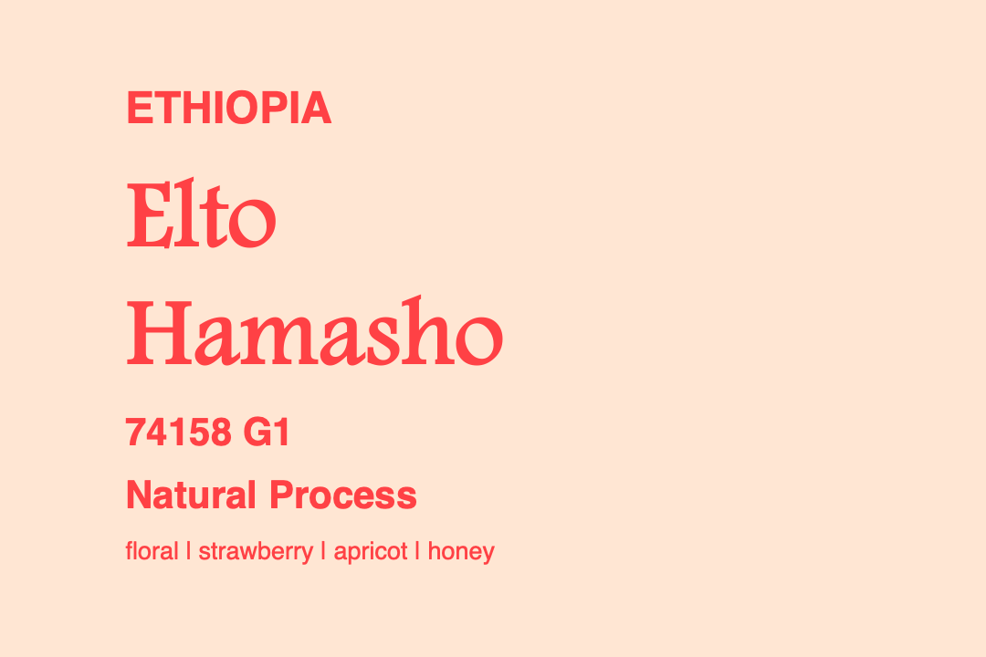 Photo of Ethiopia Elto Hamasho 74158 G1 (N) | The Hub Coffee Roaster