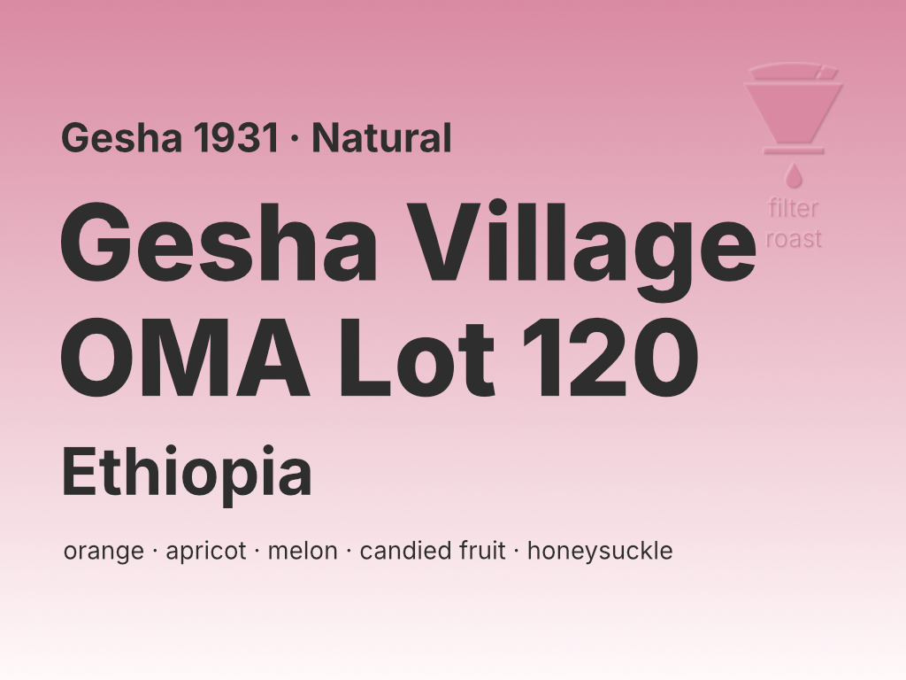 Photo of Ethiopia Gesha Village OMA Lot 120 Gesha 1931 (N)