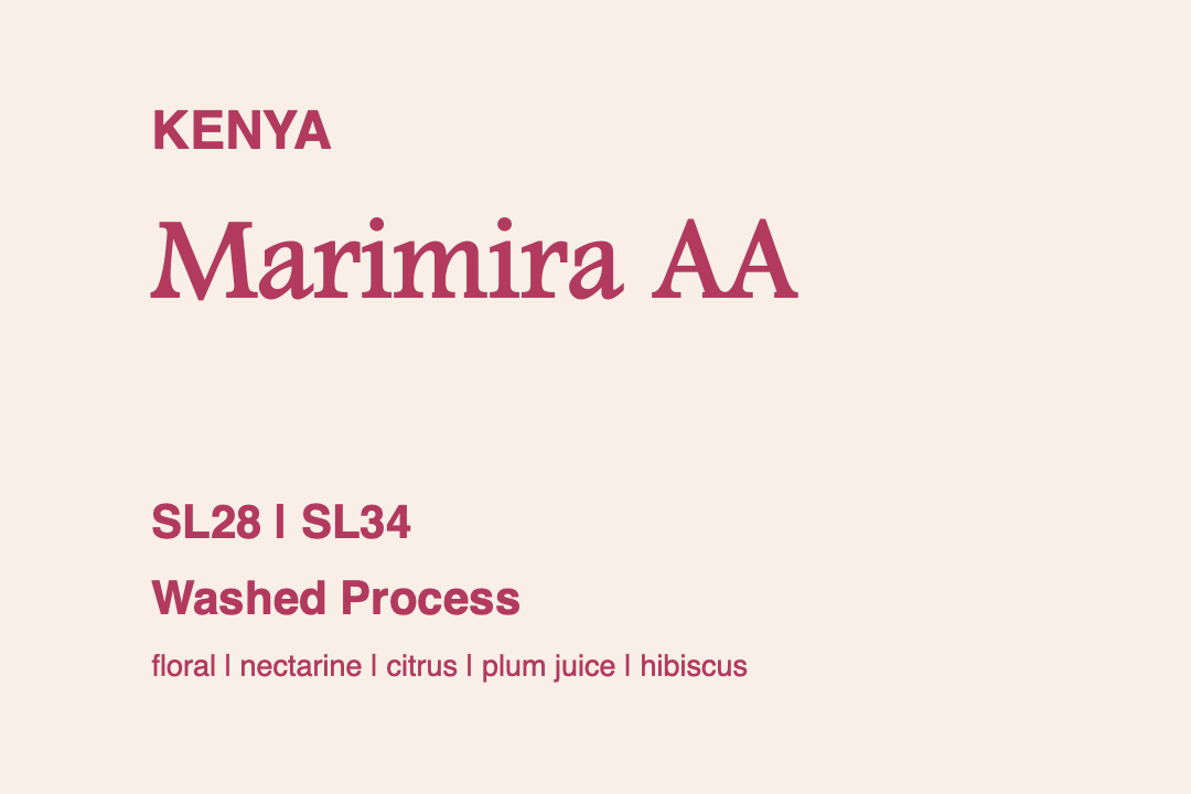 Photo of Kenya Marimira AA SL28/SL34 Washed Process | The Hub Coffee Roaster