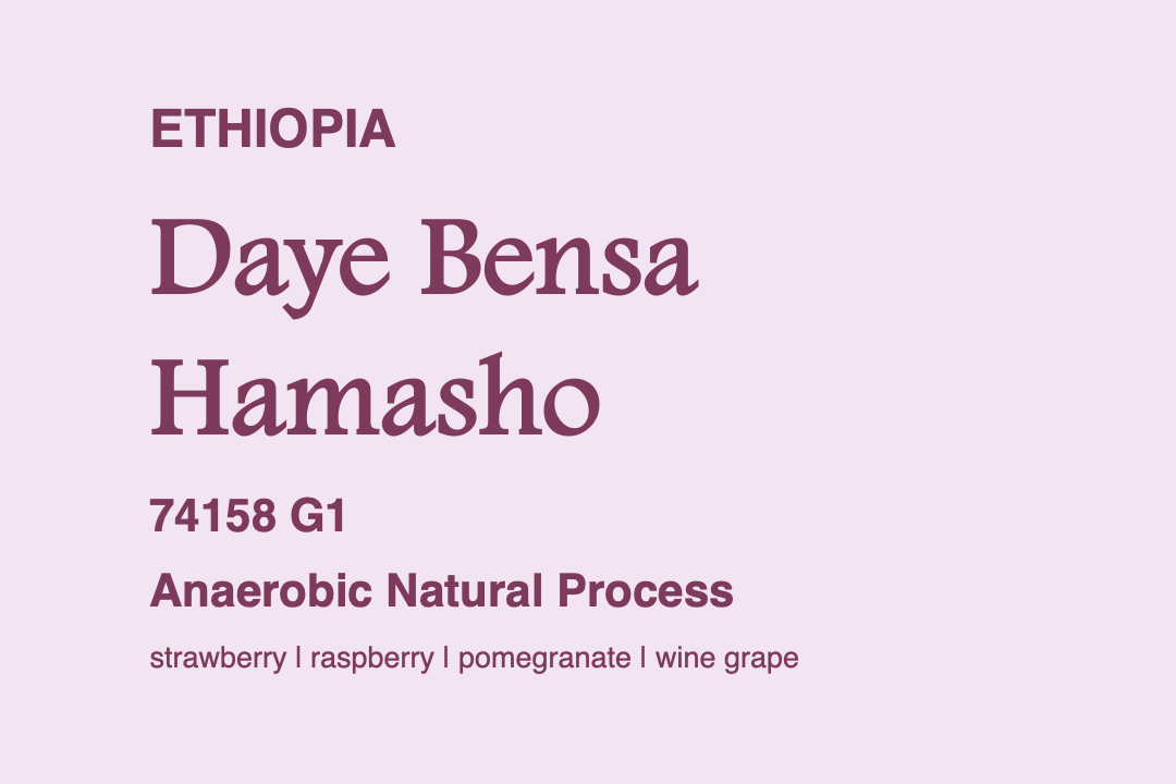 Photo of Geisha (Honey Process)