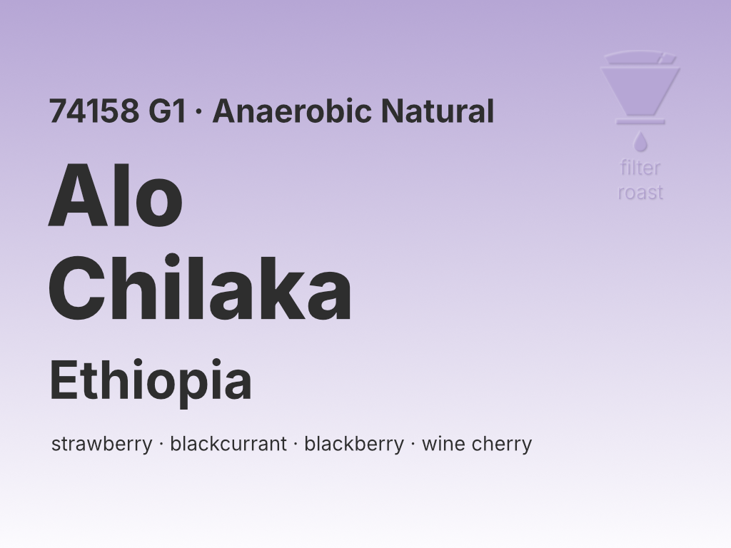 Photo of Ethiopia Alo Chilaka 74158 G1 (A.N.)