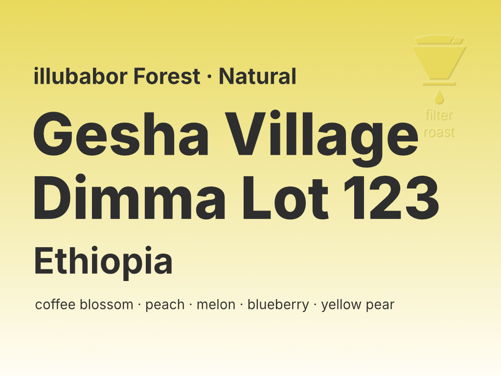 Photo of Ethiopia Gesha Village Dimma Lot 123 Illubabor Forest (N)